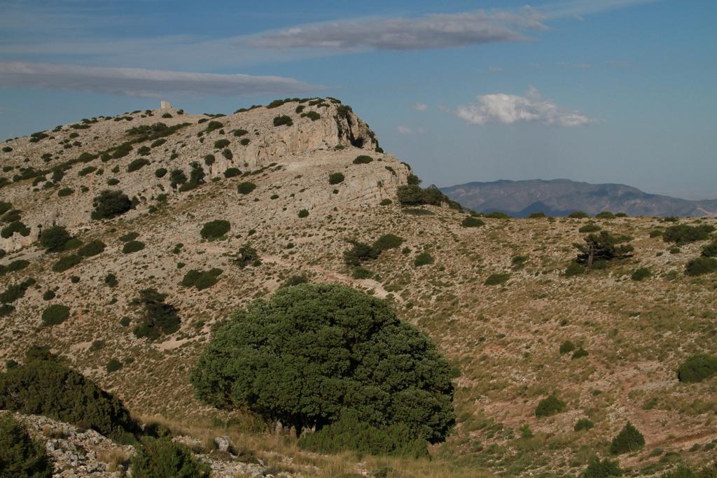 Alojamientos Rurales Cortijo Las Golondrinas อาลามา เด มูร์เซีย ภายนอก รูปภาพ