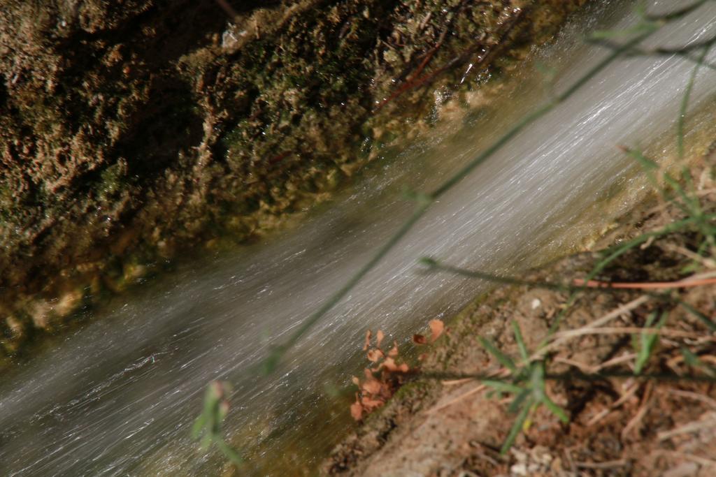 Alojamientos Rurales Cortijo Las Golondrinas อาลามา เด มูร์เซีย ภายนอก รูปภาพ