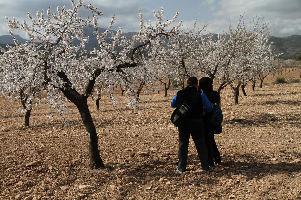 Alojamientos Rurales Cortijo Las Golondrinas อาลามา เด มูร์เซีย ภายนอก รูปภาพ