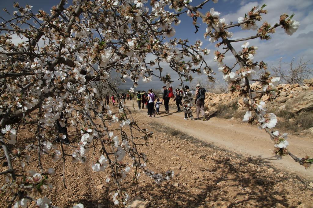 Alojamientos Rurales Cortijo Las Golondrinas อาลามา เด มูร์เซีย ภายนอก รูปภาพ