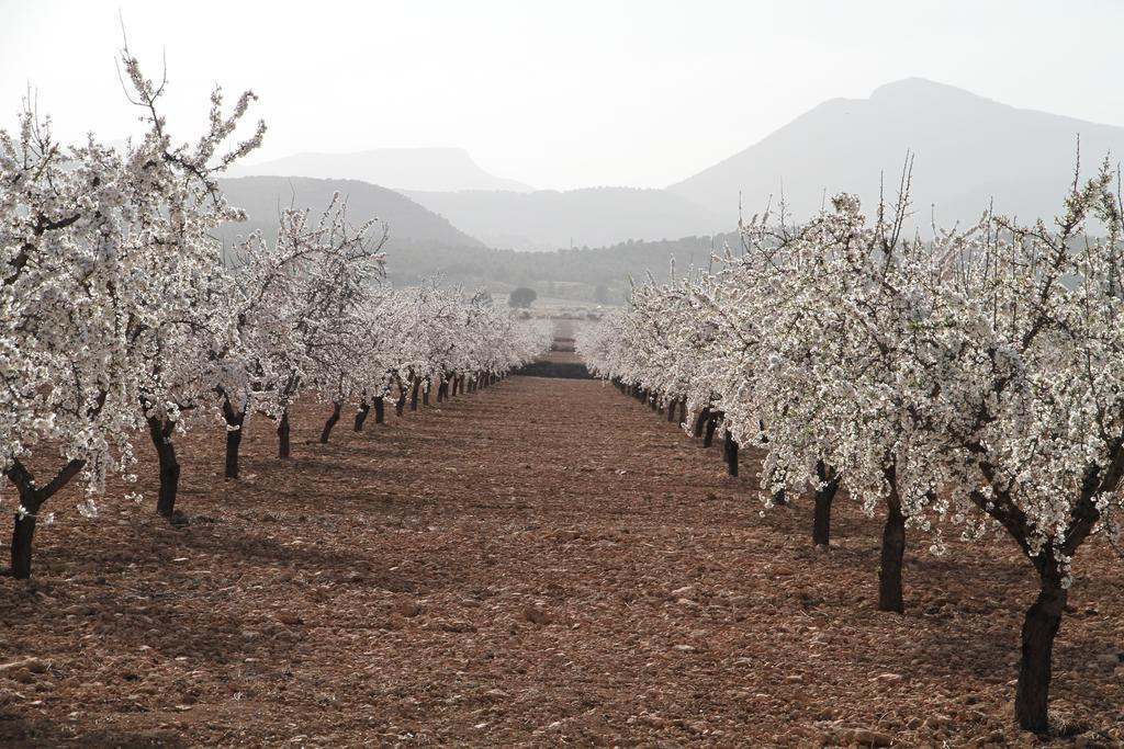 Alojamientos Rurales Cortijo Las Golondrinas อาลามา เด มูร์เซีย ภายนอก รูปภาพ